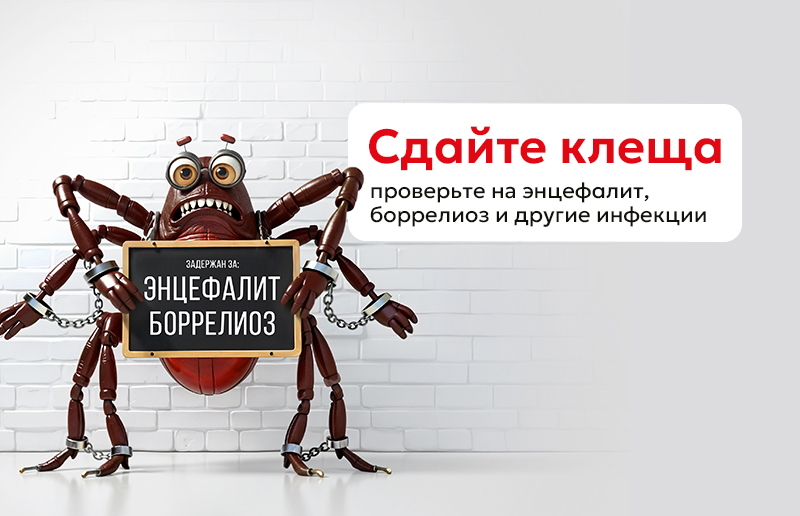 Исследование клеща на возбудители инфекций